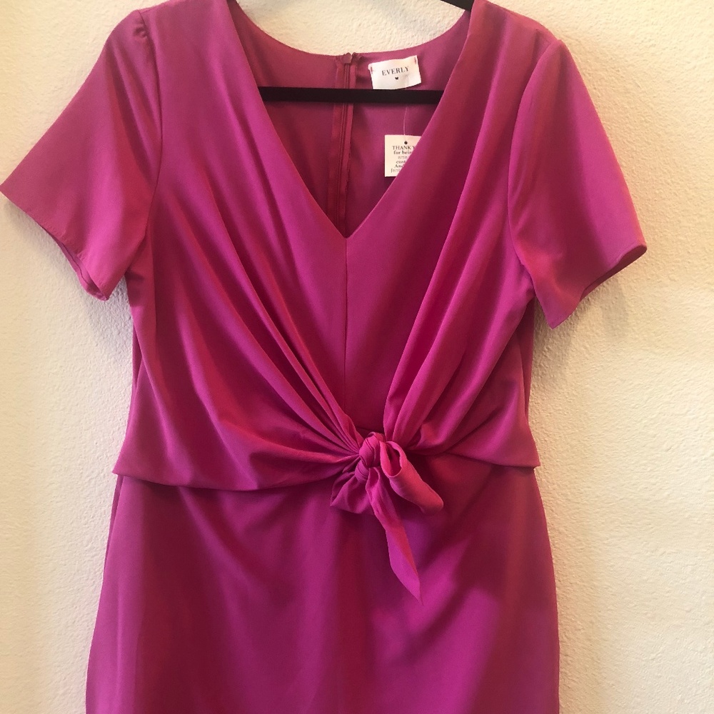 NWT pink dress- sz large